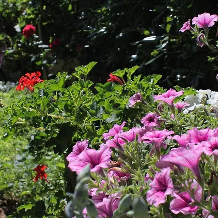 With A Parking Space Baska, Krk - 5443